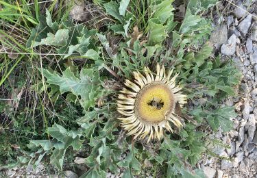 Trail Walking La Rochegiron - Petite balade depuis le Jonquet (La Rochegiron - 04) - Photo