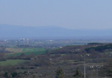 Percorso Marcia Châtel-Guyon - chatel-Guyon  - Photo