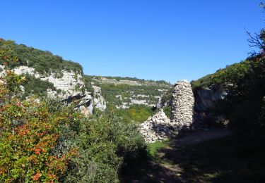 Trail Walking Buoux - Vallon de Buoux Sivergues - Photo