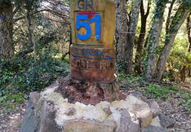 Tocht Stappen Roquebrune-sur-Argens - Rocher de Roquebrune  - Photo