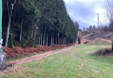 Randonnée Marche Malmedy - Malmedy - Photo