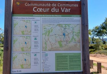 Tour Wandern Le Cannet-des-Maures - lac des Escarcets et lac des auredes  - Photo