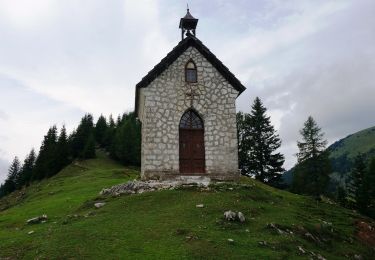 Randonnée A pied Malborghetto Valbruna - (SI A07) Rifugio Gortani - Casa Alpina Valbruna - Photo