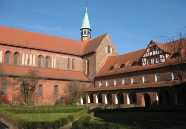 Percorso A piedi Kloster Lehnin - Willibald Alexis Wanderweg - Photo