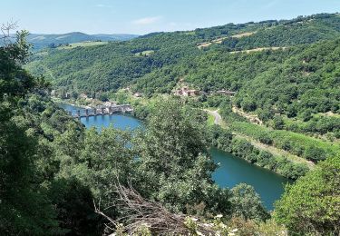 Randonnée Marche  - Au long du Tarn: d' Ayssènes à Brousse le Château - Photo