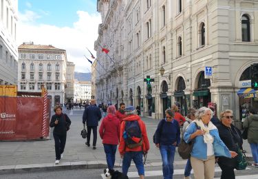 Tocht Stappen Triëst - Trieste  - Photo