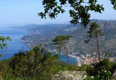 Trail Walking Monterosso al Mare - Marche matinale - Photo