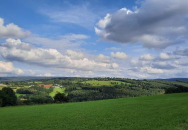 Tour Wandern Durbuy - GR 57 ETAPE 4: DURBUY-MOULIN DE MELINES  - Photo