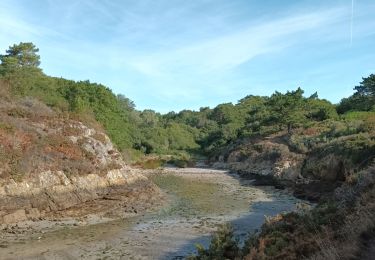 Tour Wandern Moëlan-sur-Mer - Gr34 rando - Photo