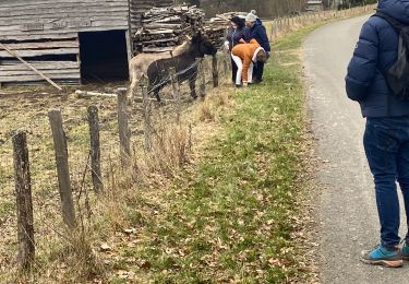 Tour Wandern Bertogne - Bretogne SALLE - Photo