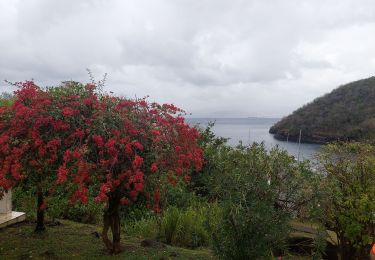 Trail Walking Les Anses-d'Arlet - boucle Anse noire-Galochat-Anse noire  - Photo