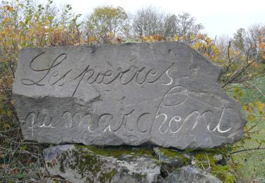 Tocht Stappen Chapdes-Beaufort - chemin Fais'Art - Photo