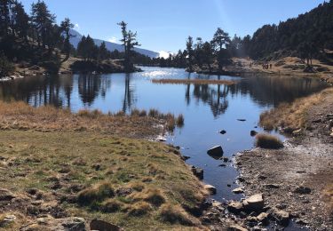 Trail Walking Chamrousse - Chamrousse 26-10-21 - Photo