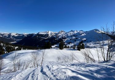 Tour Schneeschuhwandern Châtel - Plaine Dranse - Pointe de Lens - Pré la Joux - Photo