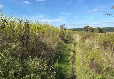 Tour Wandern Ottignies-Louvain-la-Neuve - Louvain la Neuve Court St Étienne 22,6 km - Photo