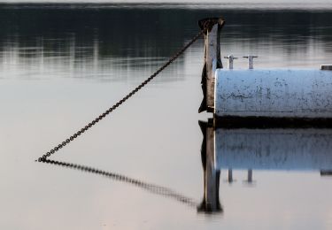 Percorso A piedi Haltern am See - Westruper Heide Rundweg A5 - Photo