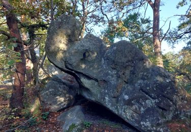 Tour Wandern Fontainebleau - Croix Toulouse#10 Sentier Denecourt N°13-15 - Photo