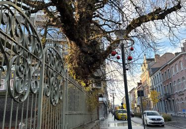 Randonnée Marche Landen - Landen - Sint Truiden 19 km - Photo