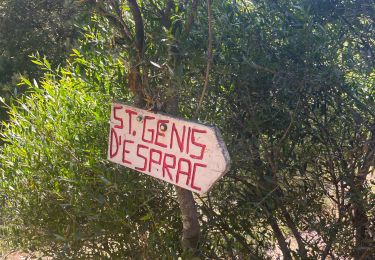 Trail Walking Espolla - Saint génis d’Espract - Photo
