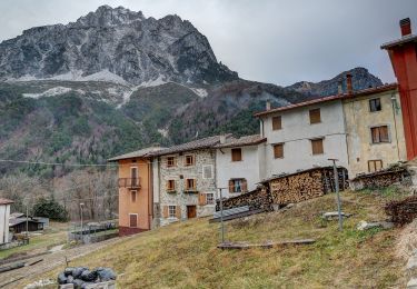 Randonnée A pied Moggio Udinese - Alta Via C.A.I. Moggio - Photo