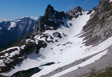 Trail Walking Jarsy - Mont de la Coche  - Photo