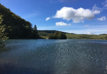 Trail Walking Besse-et-Saint-Anastaise - Lac Pavin et Lac de Moncynère - Photo