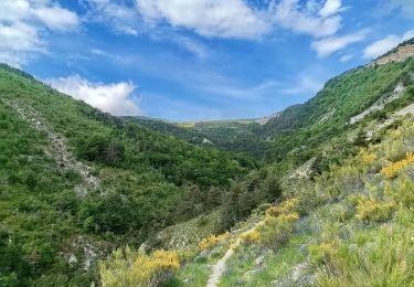 Tocht Stappen Le Saix - Montagne d'Aujour en boucle - Photo