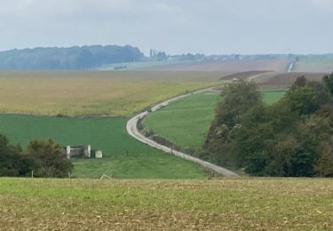 Tour Wandern Gerpinnes - Fromiée Biesme  - Photo