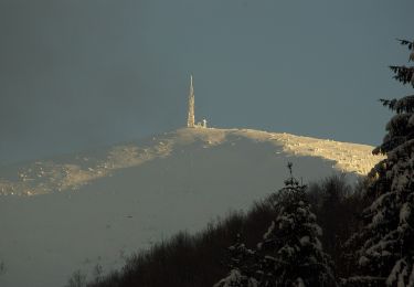 Randonnée A pied  - Valea Arieșul Mare - Cucurbăta Mare (Vf. Bihor) - Photo