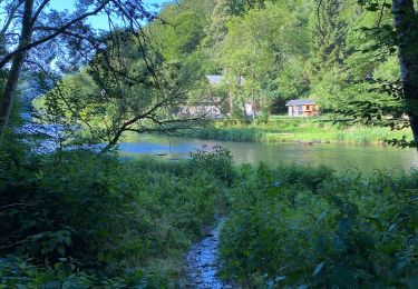 Tocht Stappen Houffalize - Ollômont - Photo