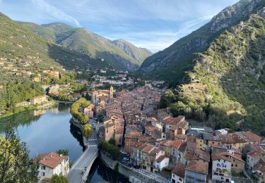 Tocht Stappen Breil-sur-Roya - Breil-sur-Roya - Sospel  - Photo