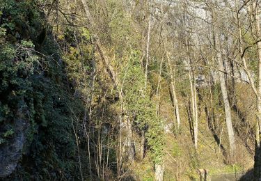 Trail Walking Dinant - Pays de Leffe - Photo