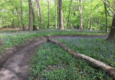 Tocht Stappen Fleurus - Deux abbayes  - Photo