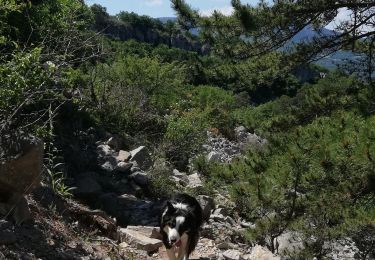 Tocht Stappen Soyans - boulliane pont de barret boulliane - Photo