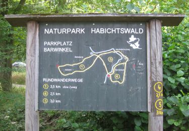 Trail On foot Baunatal - Kirchbauna - Bensberg - Photo