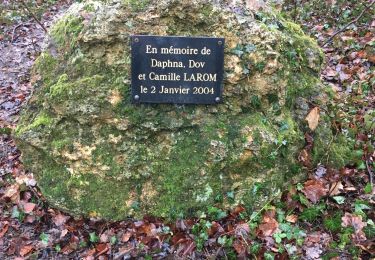 Excursión Senderismo Dampierre-en-Yvelines - Maison de fer - champ romeny - rue des érables  - Photo