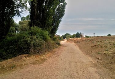 Percorso A piedi Cobeña - Ruta 5: Valle de Arriba y la ZEPA 