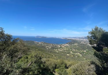 Tour Wandern Le Pradet - La mine de Garonne - Photo