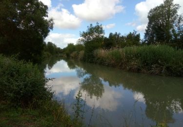 Tocht Hybride fiets Rochefort - Rochefort -  les marais du Nord  - Photo