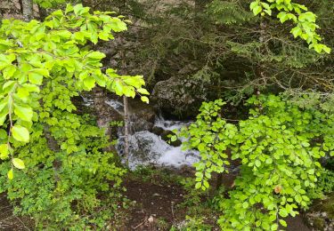 Percorso Marcia Villard-de-Lans - Villard de Lans - les clots - bergerie de la fauge  - refuge - clos du four - fontaine magdelen- retour parking des clots - Photo