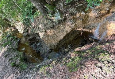 Tour Wandern Theux - Polleur Fagnes de Malchamps 31,7 km - Photo