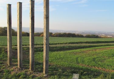 Tocht Te voet Söhrewald - Dörnhagen, Rundweg 7 - Photo