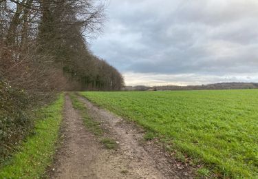 Trail Walking Nivelles - Monstreux 21 km - Photo