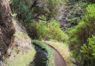 Trail Walking Calheta - chemin des cascades  - Photo