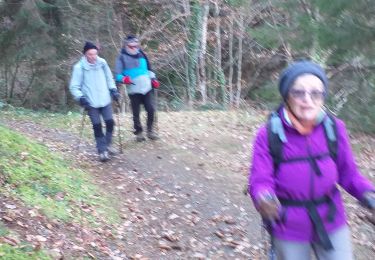 Tour Wandern Arrens-Marsous - arrens G3Fait  - Photo