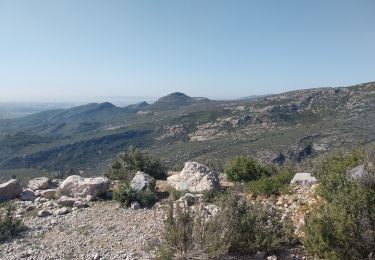 Tour Wandern Aubagne - belle de mai 29fev24 - Photo