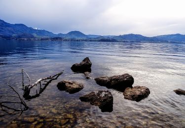 Tour Zu Fuß Gmunden - Wanderweg 02 - Photo