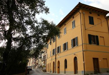 Randonnée A pied San Giuliano Terme - 