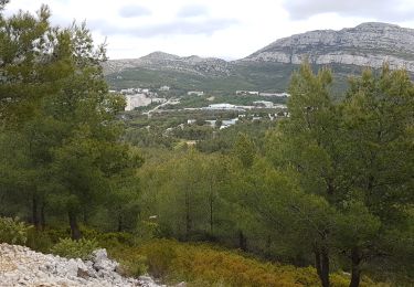 Tour Wandern Marseille - De Callelongue à luminy - Photo