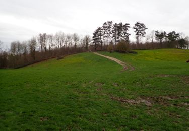 Trail Walking Ittre - Ittre, Bois des Frères, Champ d'Hurbise - Photo